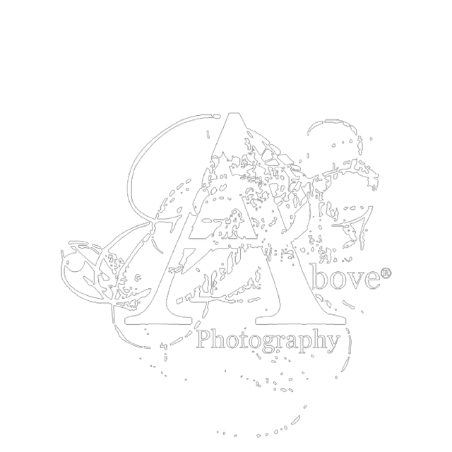 footer-logo