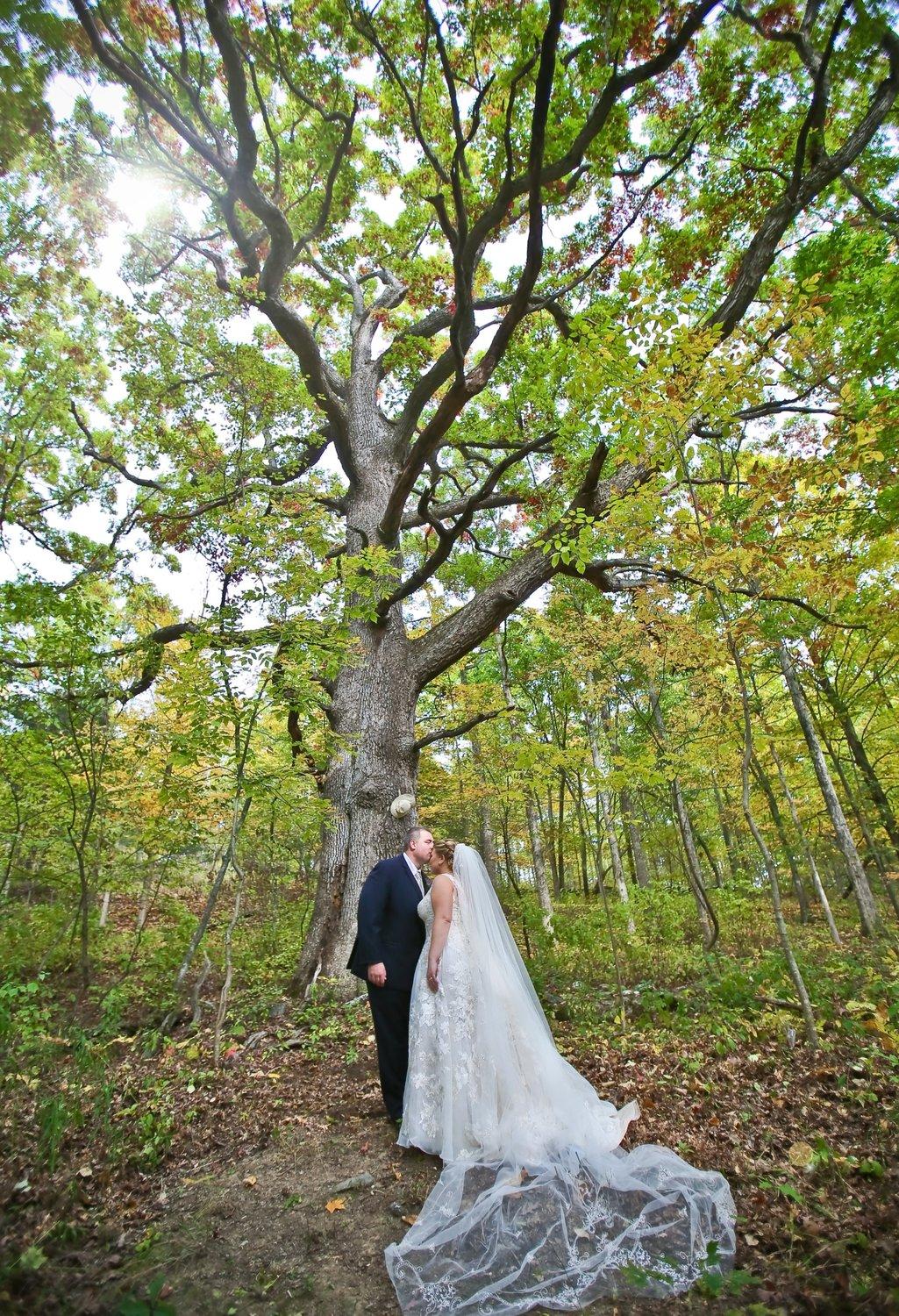 carousel-hero-element image-1